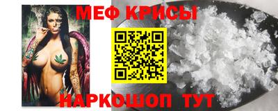 бошки Кингисепп