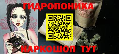 индика Беслан