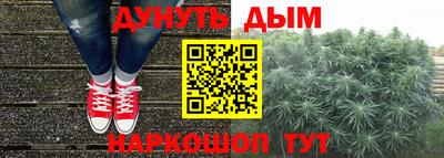 индика Беслан