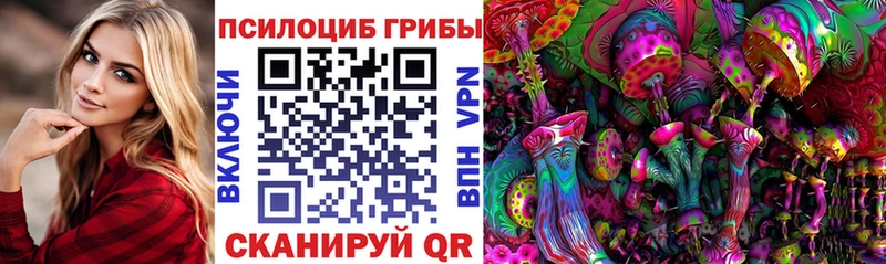 Галлюциногенные грибы MAGIC MUSHROOMS  закладка  Десногорск 