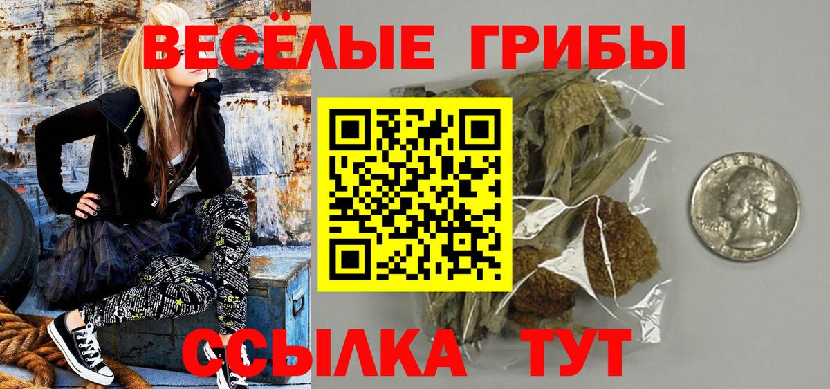 Псилоцибиновые грибы ЛСД Десногорск