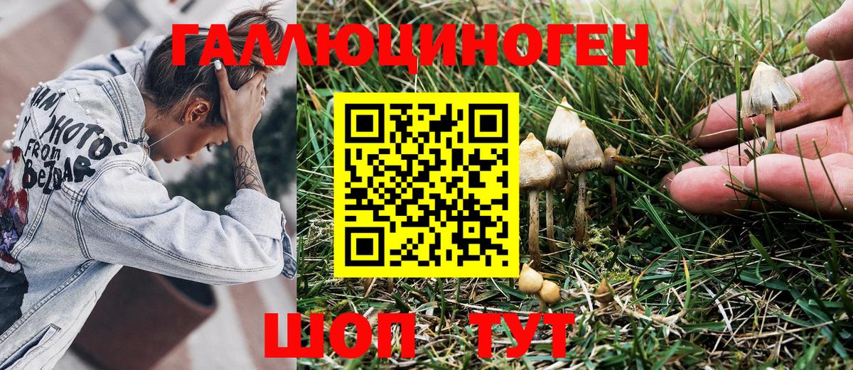 Псилоцибиновые грибы Cubensis  Вход с VPN  закладки  Псилоцибиновые грибы Psilocybine cubensis  Десногорск 